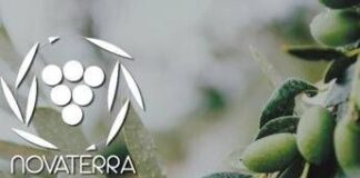 Unaprol, con olio ‘Novaterra’ per olivicoltura sostenibile