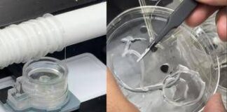 Università Tor Vergata, risultati positivi da stampa 3D per rigenerare muscoli