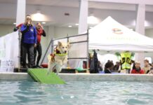 Quattrozampeinfiera: l’evento pet-friendly più atteso in Italia Quattrozampeinfiera