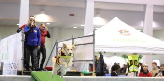 Quattrozampeinfiera: l’evento pet-friendly più atteso in Italia Quattrozampeinfiera