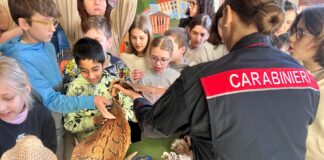 Vicenza e Ambiente: educazione e legalità nelle scuole con i Carabinieri Forestali vicenza ambiente