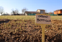 Cascina Carpaneda, Svolti da “Bene Comune” i primi interventi di recupero dei terreni e delle siepi cascina carpeneda vicenza