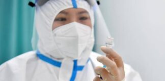 Cina, scoperto nuovo coronavirus: si trasmette dai pipistrelli agli uomini coronavirus