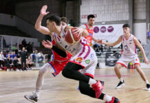 Basket, domenica doppio evento in via Goldoni: la gara Civitus Vicenza-Imola e il Draft Jr. Nba Championship civitus vicenza -Andrea Costa Imola domenica al palasport di via Goldoni