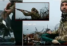 Trump Jr in Veneto per una battuta di caccia: legale o violazione? Le posizioni ufficiali donald trump jr spara anatre veneto caccia