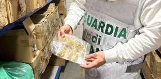 San Valentino, a Padova ingente sequestro della Guardia di Finanza di prodotti irregolari padova san valentino