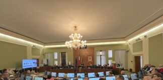 Lupi e animali nocivi, confronto in Provincia di Vicenza per capire come gestirli. A breve un incontro al Ministero dell’Ambiente Lupi e animali nocivi, incontro in Provincia di Vicenza