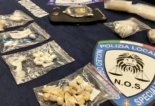 Vicenza, la Polizia locale arresta due spacciatori in Campo Marzo: sventata compravendita di 32 dosi di stupefacente polizia locale operazione antidroga in campo marzo a vicenza