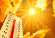 Cambiamenti climatici in Veneto: il 2024 l’anno più caldo degli ultimi 30 Cambiament climatici Veneto