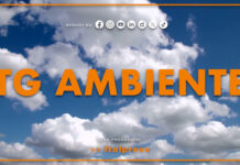 Tg Ambiente – 2/11/2025