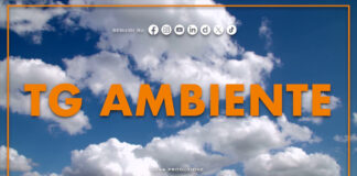 Tg Ambiente – 9/2/2025