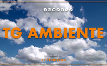 Tg Ambiente – 2/11/2025