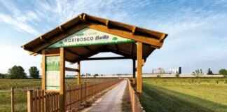 Da Barilla packaging sostenibile e gestione responsabile dell’acqua