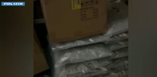 Torino, maxi sequestro stupefacenti. Oltre 110 kg di marijuana e hashish