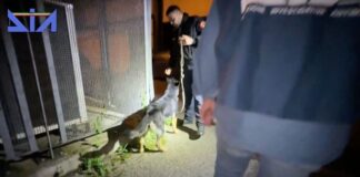 Dieci arresti nel Salernitano per scambio elettorale politico mafioso