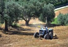 Zaia eletto vicepresidente della Commissione Risorse Naturali (NAT) del Comitato europeo delle Regioni a Bruxelles luca zaia