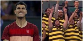 Alcaraz, tifosi speciali a Indian Wells: sugli spalti vestiti da api