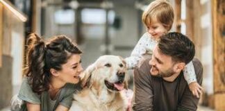Assicurazioni per animali, da Poste coperture veterinarie su misura per ogni necessità
