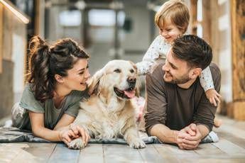 Assicurazioni per animali, da Poste coperture veterinarie su misura per ogni necessità