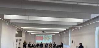 Diabete 2, ok Aifa a tirzepatide per controllo malattia e complicanze