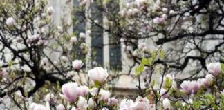 Equinozio di primavera 2025, cosa succede e perché non è il 21 marzo