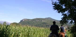 Confagricoltura, al via da Varese il pellegrinaggio equestre per il Giubileo