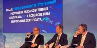 Findus, Roca: “Mercato in leggera crescita, nel 2024 noi cresciuti del 2,6%”