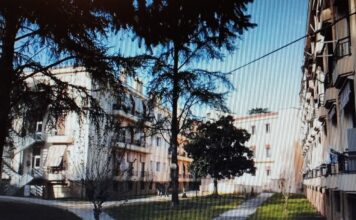 Ipab di Vicenza, approvato il bilancio 2026: rette su di un solo euro e nuovi investimenti a Laghetto IPAB Vicenza di