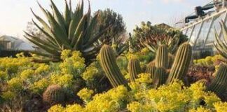 L’ Università di Roma Tor Vergata apre orto botanico a scuole e cittadini per esperienza sostenibile