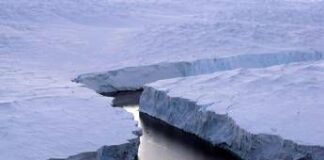 Livelli dei ghiacci polari ai minimi storici, i dati di Copernicus