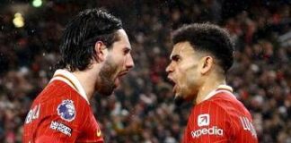 Liverpool-Newcastle: orario, probabili formazioni e dove vederla in tv