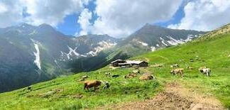 Made in Italy, Trentingrana: 2024 e primi mesi 2025 positivi, ma su futuro incognite effetti indiretti dazi