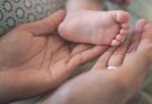 Sentenza Consulta su figli di due donne. Comune di Vicenza: “Premiata la forza di tante madri”. Plauso anche di Europa Verde e Pd Veneti sentenza consulta su figli coppie omogenitoriali