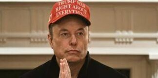 Musk: “Minacce di morte per tagli”. Trump: “Sei un patriota”