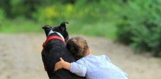 ‘Non diamo la colpa ai cani’, pediatri e veterinari per convivenza sicura con bimbi