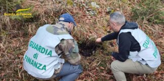 Belluno, la Guardia di Finanza mette in sicurezza otto ordigni bellici rinvenuti in un’area boschiva