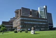 Un gesto di straordinaria generosità all’Ospedale San Bassiano: una donazione di reni ridona la vita a due persone bassano newsweek dengue a bassano del grappa ospedale san bassiano reni