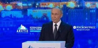 Putin: “Groenlandia non riguarda Russia, Nato cerca scontro nell’Artico”