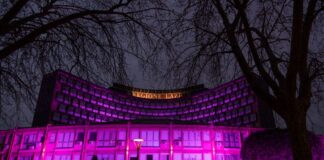 8 marzo, la sede della Regione Lazio si illumina di viola