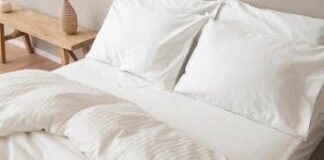 Salute, 17 volte più batteri sul cuscino che sul wc