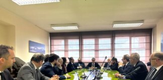 Emergenza lupi nel vicentino, sindaci a Roma “Risposta tempestiva”