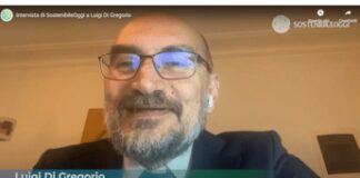 Sostenibilità, Di Gregorio: “Non è percepita come un’emergenza attuale”