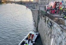 Torino, pullman finisce nel fiume Po in centro città