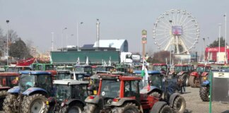 Veicoli industriali, UNRAE “Trend negativo interrotto a febbraio”