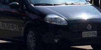 Treviso, accoltella e uccide il vedovo che la ospitava: arrestata