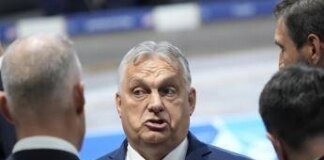 Ucraina, Orban si schiera con Trump e scrive all’Ue. Rutte avverte Zelensky