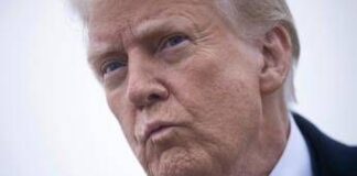 Ucraina, Trump tratta con Putin: “Tregua? Penso sarà d’accordo”