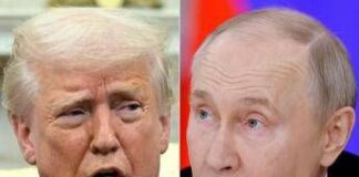 Ucraina, telefonata Putin-Trump: due ore di colloquio sulla tregua