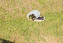 Droga nei pressi dell’asilo Fogazzaro a Vicenza, nuova segnalazione: “Noi genitori preoccupati” Un giovane mentre si inietta droga con una siringa nei pressi dell'asilo Fogazzaro a Vicenza