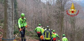 Enego, è grave boscaiolo ferito dall’abete appena tagliato. Soccorso con l’eliambulanza. enego boscaiolo ferito